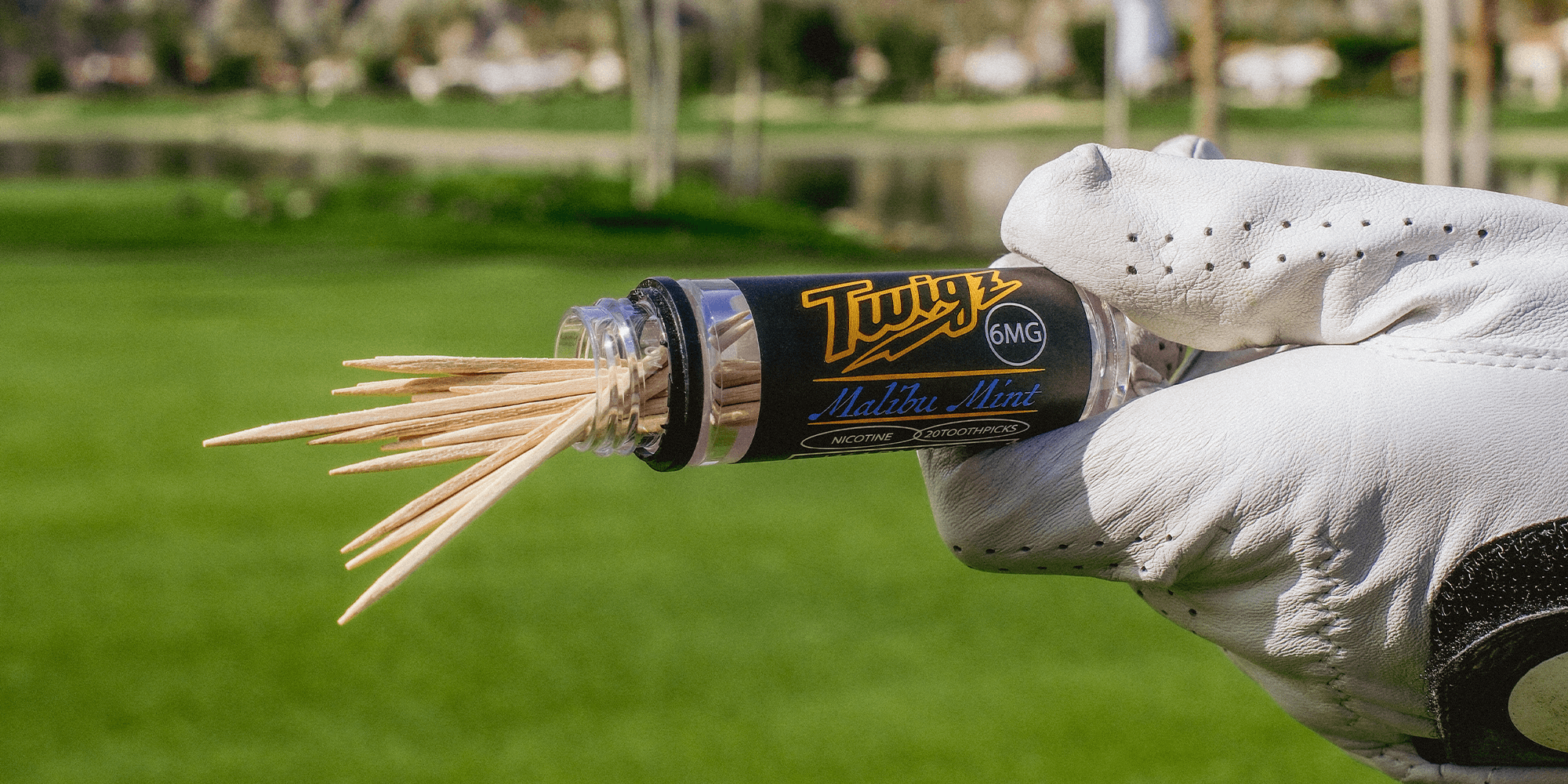 Twigz nicotine toothpicks